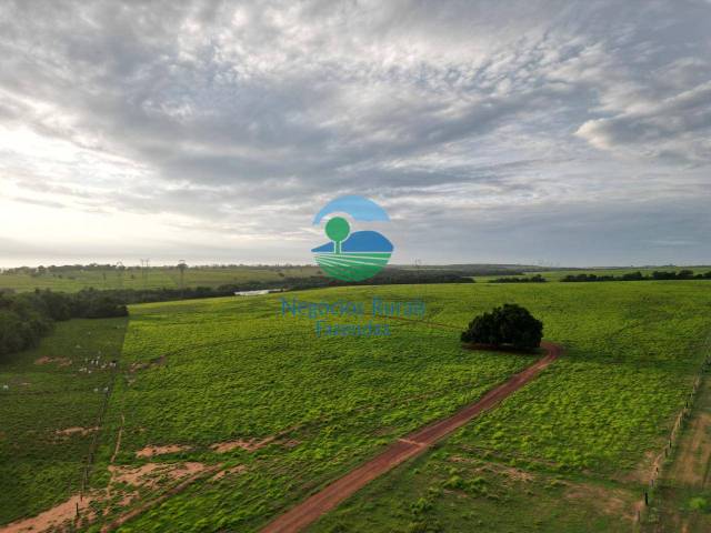 Fazenda para Venda em Guaraí - 3