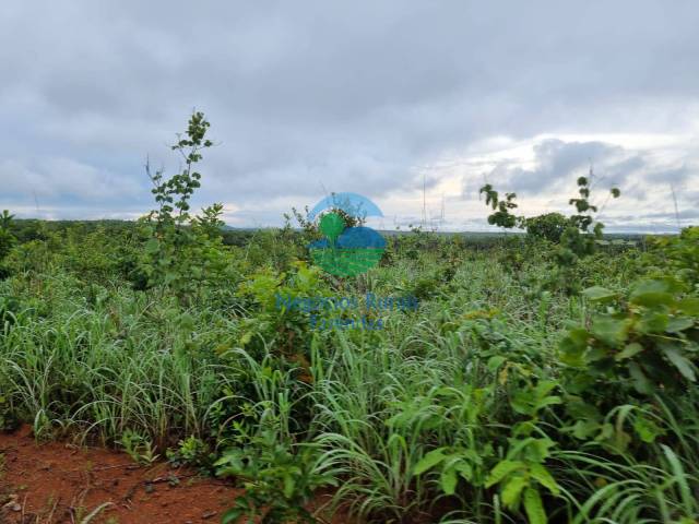 Fazenda para Venda em Colinas do Sul - 3
