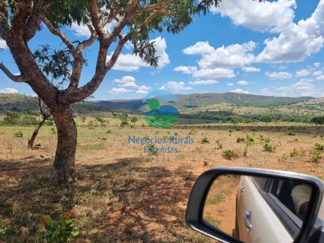 Fazenda para Venda em Colinas do Sul - 4