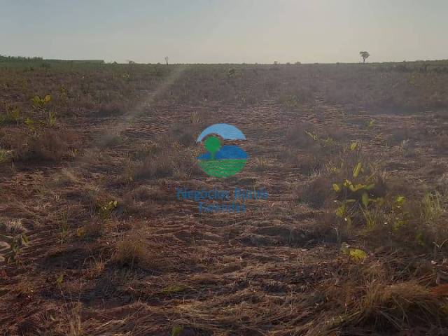 Fazenda para Venda em Rio Sono - 4