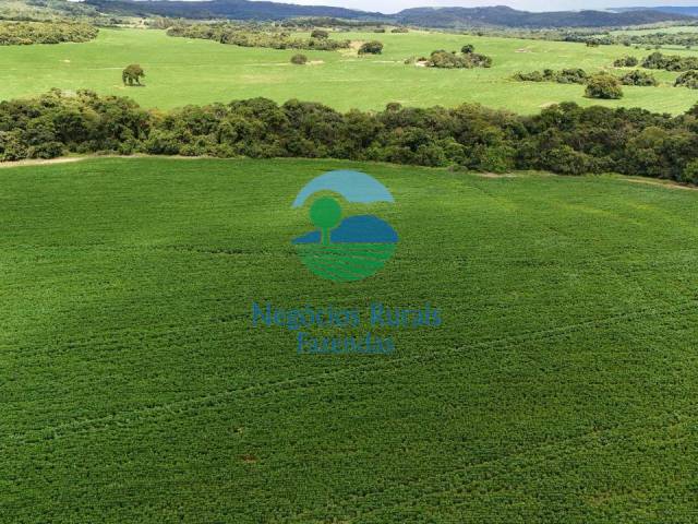 Fazenda para Venda em Santa Cruz de Goiás - 5
