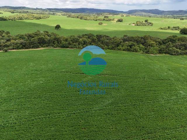 Fazenda para Venda em Santa Cruz de Goiás - 2