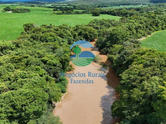 Fazenda para Venda em Santa Cruz de Goiás - 3