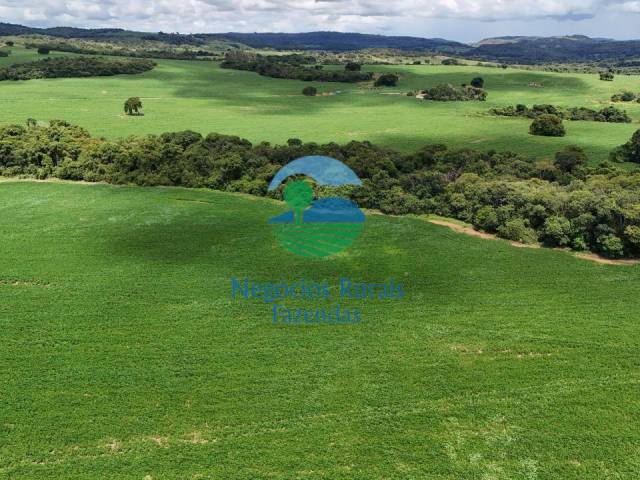 Fazenda para Venda em Santa Cruz de Goiás - 4