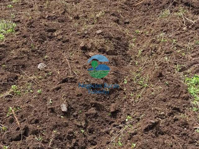 Fazenda para Venda em Flores de Goiás - 3