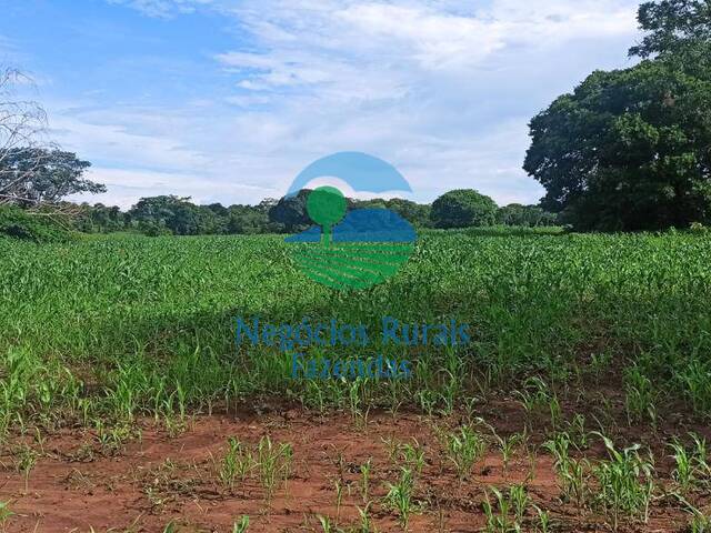 Fazenda para Venda em Flores de Goiás - 4
