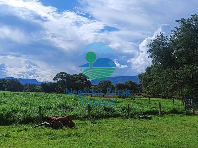 Fazenda para Venda em Flores de Goiás - 5