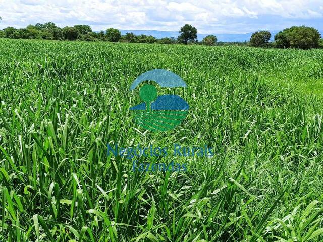 Fazenda para Venda em Flores de Goiás - 2