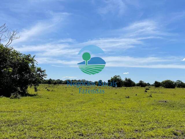 Fazenda para Venda em São Miguel do Araguaia - 3