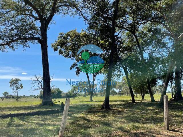 Fazenda para Venda em São Miguel do Araguaia - 2