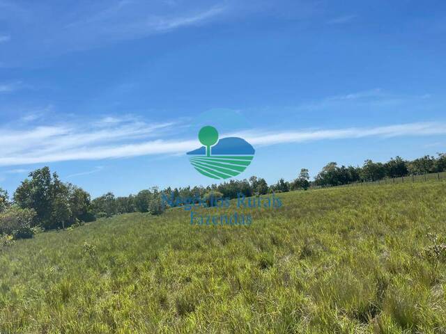 Fazenda para Venda em São Miguel do Araguaia - 5