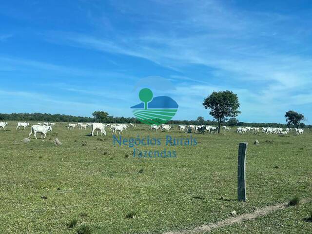 Fazenda para Venda em São Miguel do Araguaia - 4
