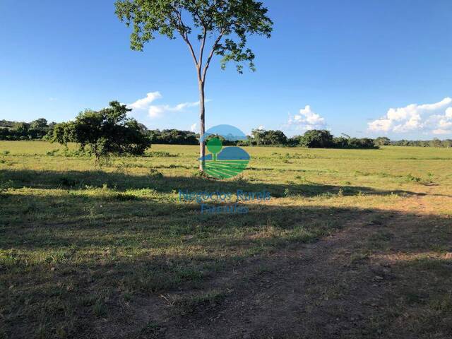 Fazenda para Venda em Mara Rosa - 3