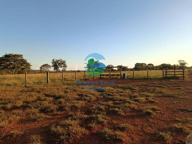 Fazenda para Venda em Mara Rosa - 5