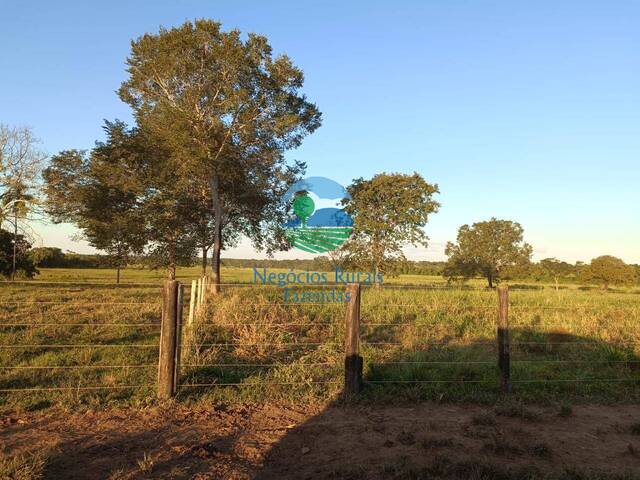 Fazenda para Venda em Mara Rosa - 4