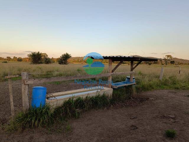 Fazenda para Venda em Mara Rosa - 2