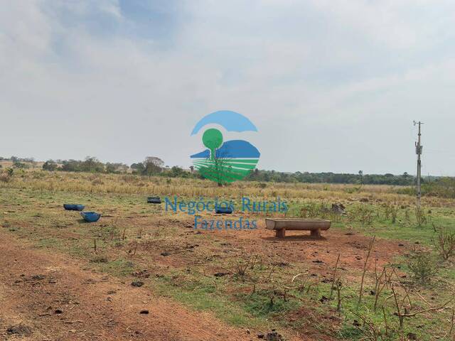 Fazenda para Venda em Montes Claros de Goiás - 3