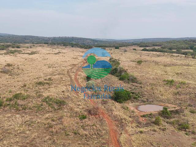 Fazenda para Venda em Montes Claros de Goiás - 2
