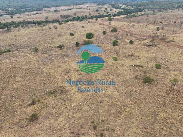 Fazenda para Venda em Montes Claros de Goiás - 4