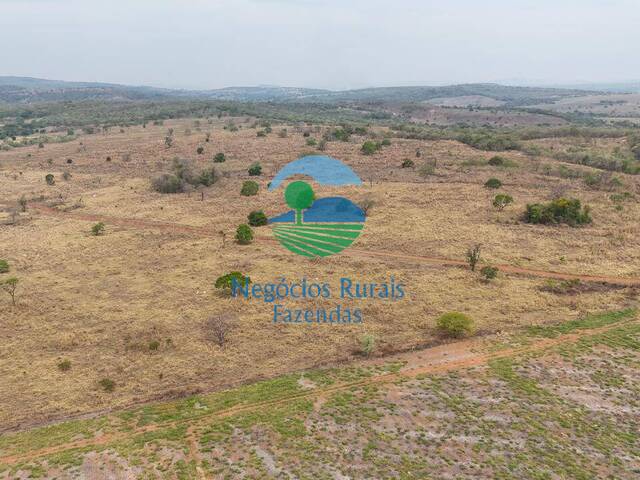Fazenda para Venda em Montes Claros de Goiás - 5