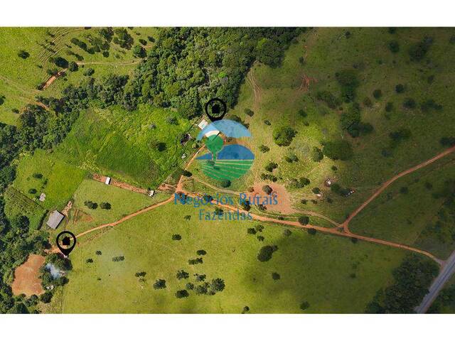 Fazenda para Venda em Brasília - 2