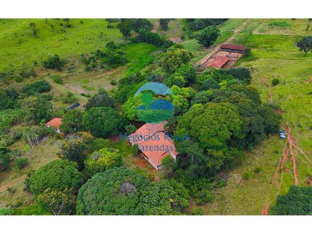 Fazenda para Venda em Brasília - 5