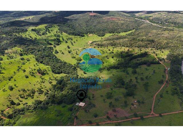 Fazenda para Venda em Brasília - 3