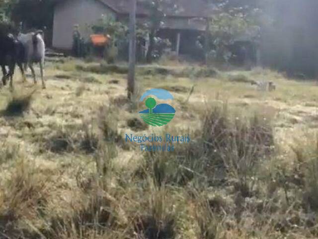 Fazenda para Venda em Amaralina - 3