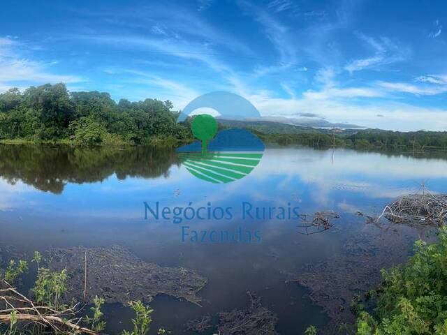 Chácara para Venda em Taipas do Tocantins - 3