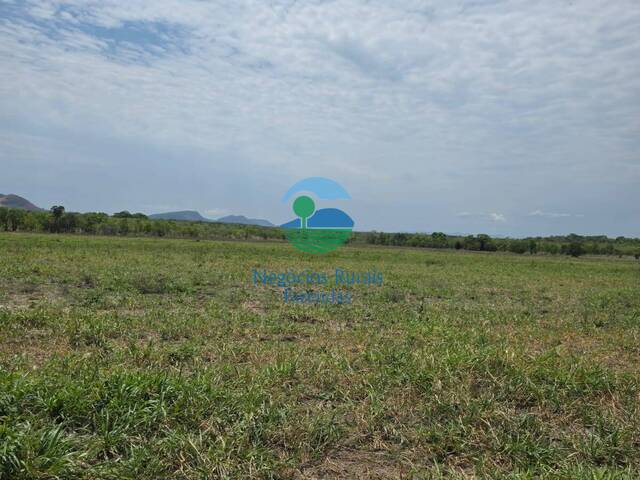 Chácara para Venda em Taipas do Tocantins - 2