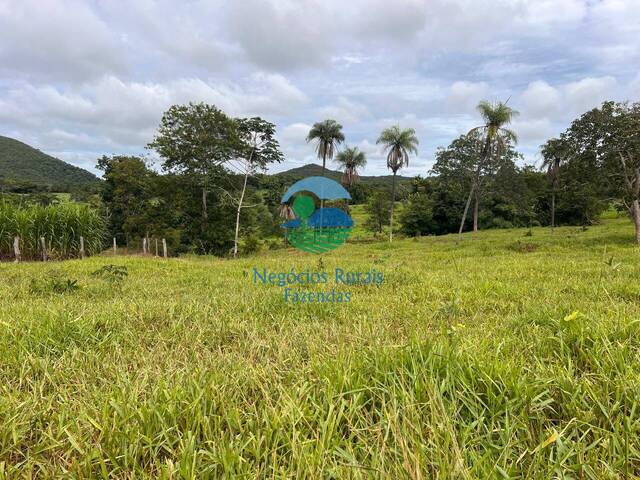 Fazenda para Venda em Uruaçu - 3