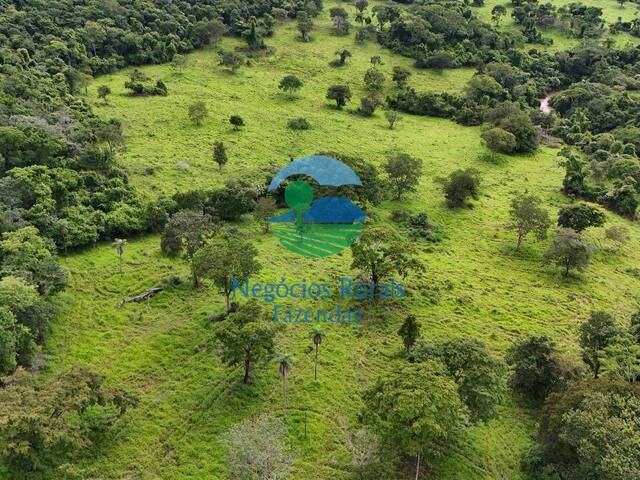 Fazenda para Venda em Uruaçu - 4