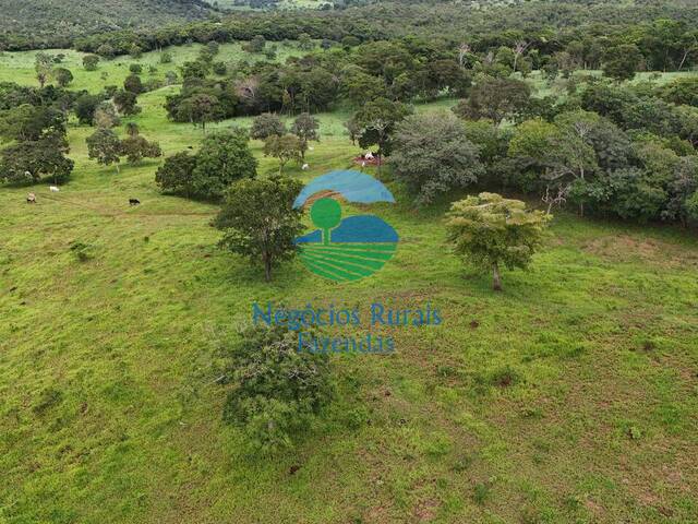 Fazenda para Venda em Uruaçu - 5