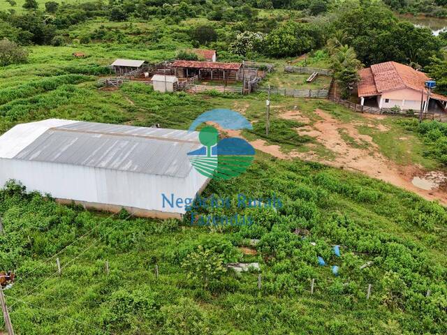 Fazenda para Venda em Amaralina - 3