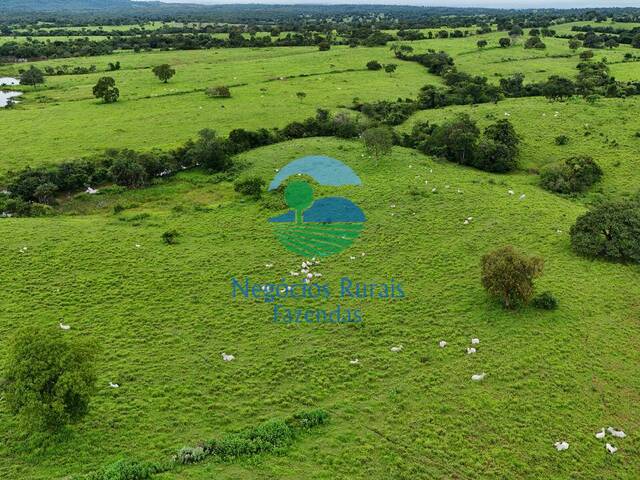 Fazenda para Venda em Amaralina - 4