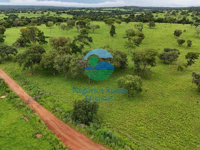 Fazenda para Venda em Amaralina - 5