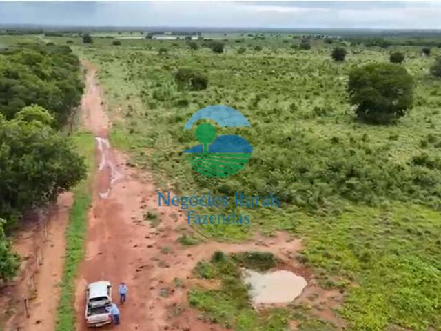 Fazenda para Venda em Talismã - 2