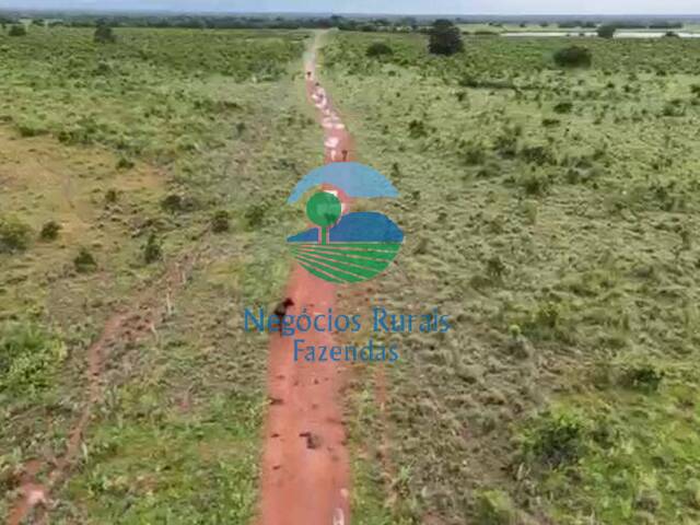 Fazenda para Venda em Talismã - 4