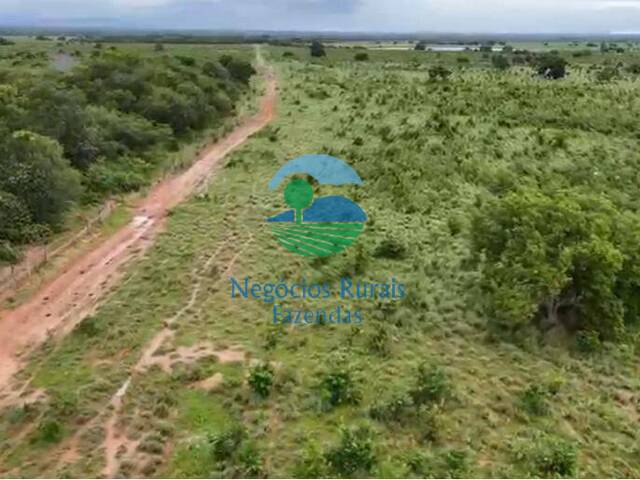 Fazenda para Venda em Talismã - 5