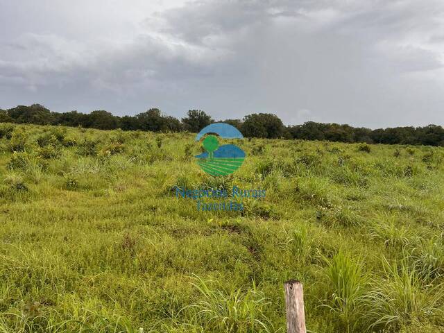 Fazenda para Venda em Talismã - 3