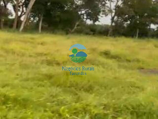 Fazenda para Venda em Talismã - 5