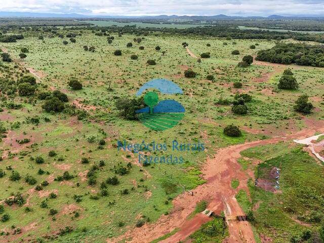 Fazenda para Venda em Talismã - 3