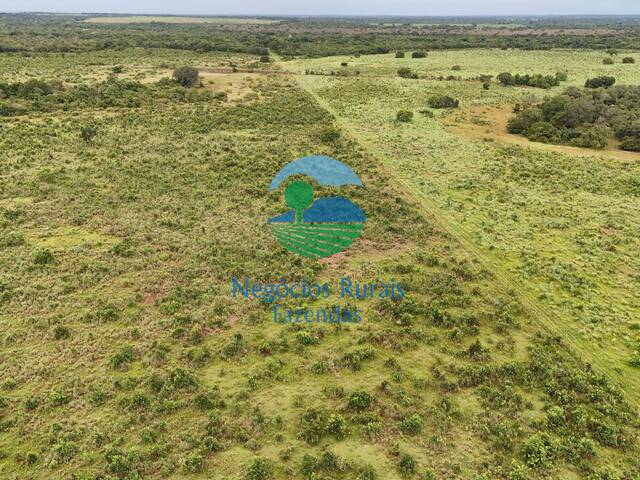 Fazenda para Venda em Talismã - 4