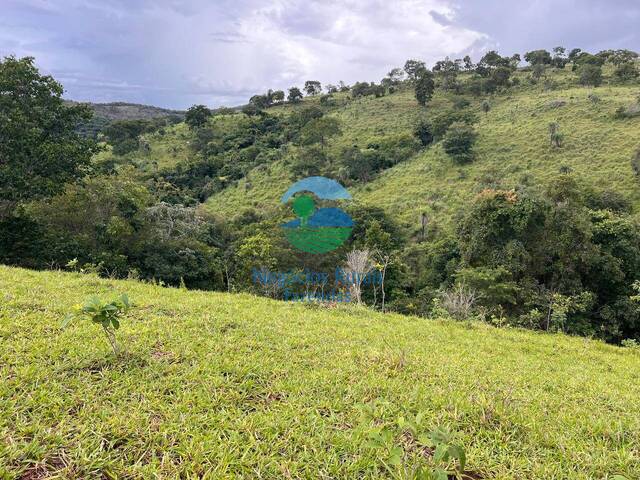 Fazenda para Venda em Uruaçu - 3