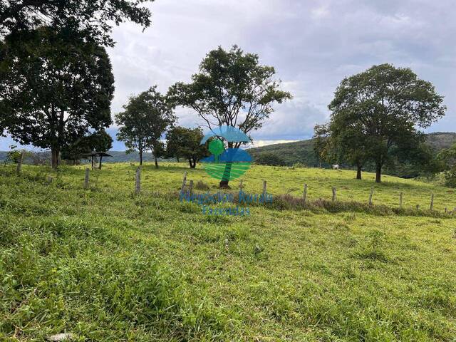 Fazenda para Venda em Uruaçu - 4