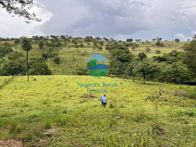 Fazenda para Venda em Uruaçu - 2