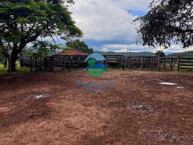 Fazenda para Venda em Uruaçu - 5