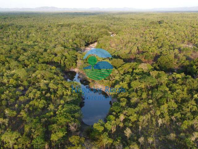 Fazenda para Venda em Paranã - 5
