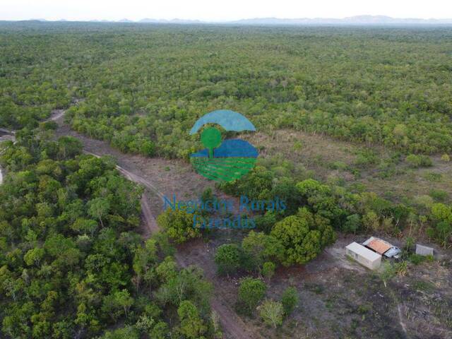 Fazenda para Venda em Paranã - 4