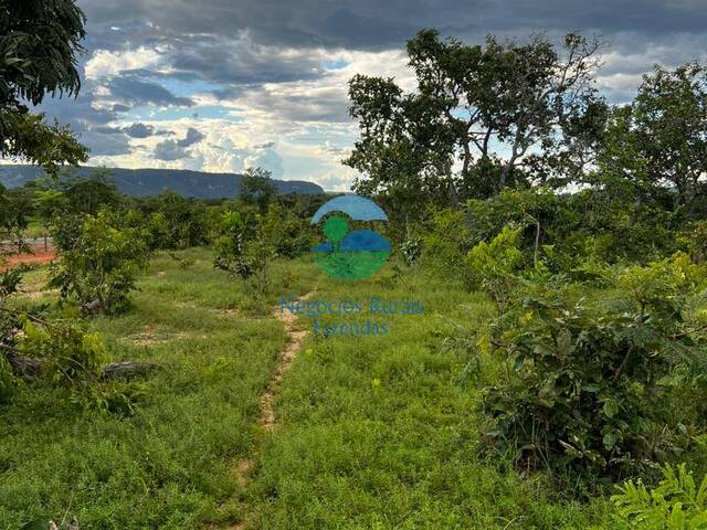Fazenda para Venda em Minaçu - 5
